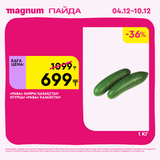 Magnum 1728x1728 1 tov (70)