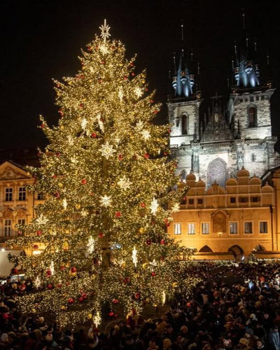 594327092 1447126054084704 8948082880033281088 n.jpg?stp=dst jpg s640x640 tt6& nc cat=108&ccb=1 7& n.jpg