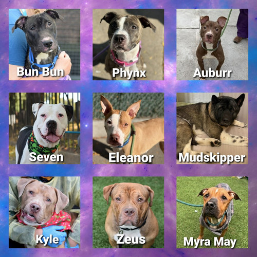 G7M8tClWgAAgoah.jpg