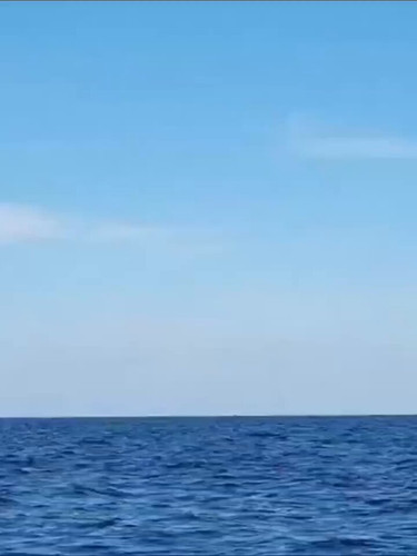 RgOlvIYYWTvfqo3R.jpg