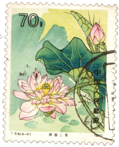 taiwan4.png