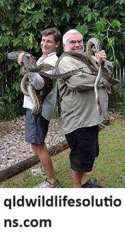 Best Snake Catcher Cairns.jpg