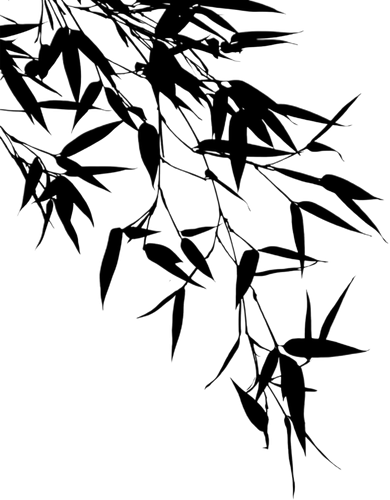 IMG 2705.png