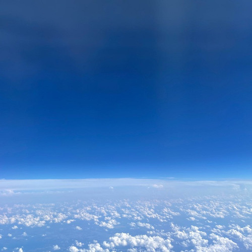 flyingcosmos.jpg
