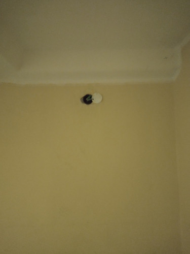 IMG 20251202 195016413.jpg