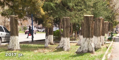 vLPZ AMGvxBJuacEPZ9QeXEWfVwY uOoT9vCPo aqfXaZOZ2 aA6kCriSV9xQJEdaQBZl5KYYorSp1YUXVZL jaj5RWjqVhcJr08.jpg