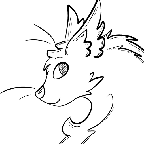 IMG 7453.png