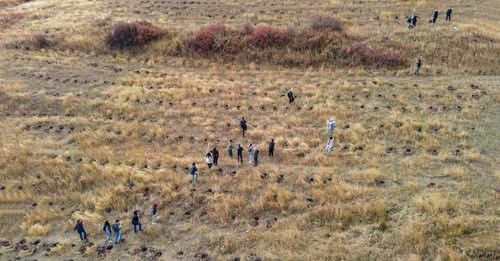 15804212116319518215?url=https%3A%2F%2Fwww.aravot.am%2Fwp content%2Fuploads%2F2025%2F12%2Facba tree..jpg