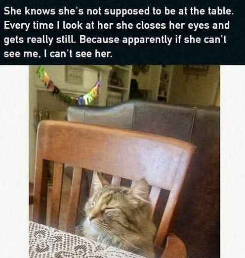 G7L9fKnW4AAiq54.jpg