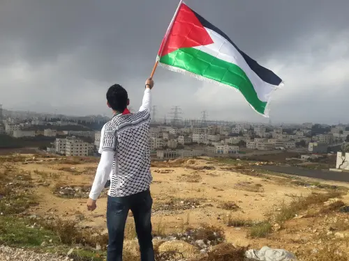 palestine flag protest.webp