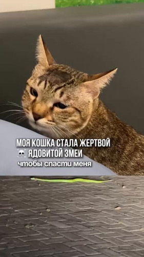 ntaS3WZ LM8TePHX.jpg