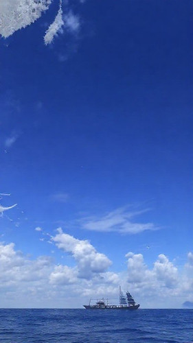 d6ea492135e5.jpg