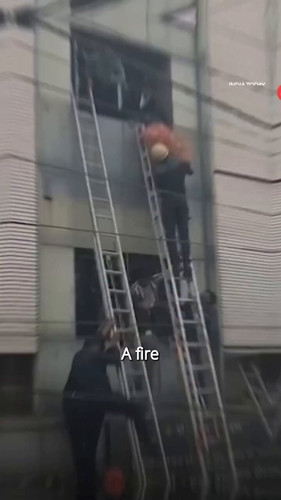2NUDHDic9kZl75Gj.jpg