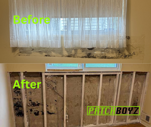 mold removal near me.png