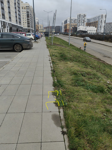 IMG 20251203 143139.jpg