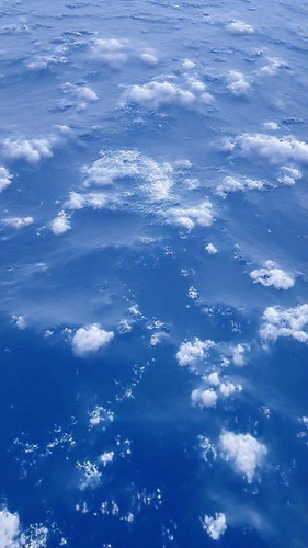692f0947026d.jpg