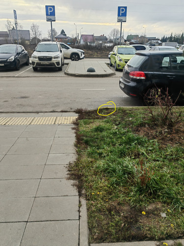 IMG 20251203 142720.jpg