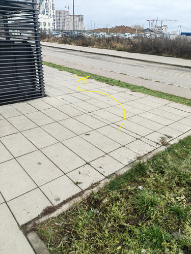 IMG 20251203 143321.jpg