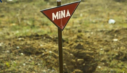 d36MqAtkrddeu q ygHqCxLgl4FjwAvmGcAOA9N6H78obZy5bBXLSfBgokDJNG0VdNYei vAltakQ4w462VTW 5rIzP1O7a6LTEE.jpg