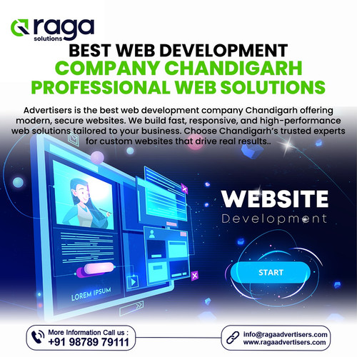 Best Web Development Company Chandigarh.jpg