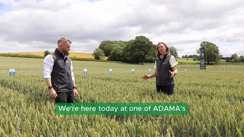 VjQ3R wB40pIbDpz.jpg