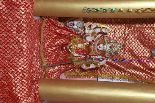 IMG 8880.jpg