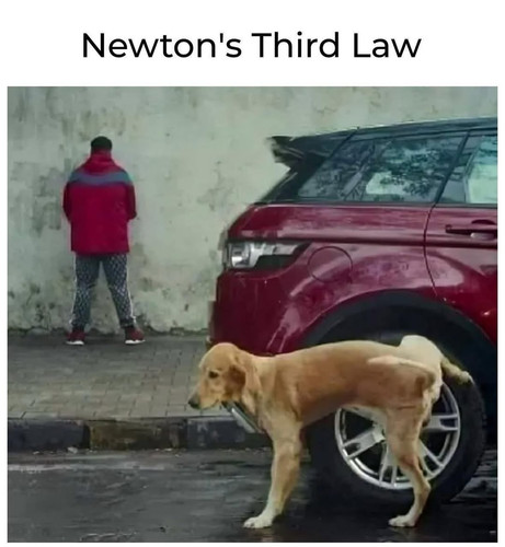 593016010 859161519818780 6046190630921737997 n.jpg