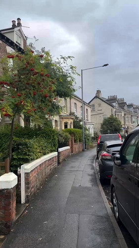 OjWbKMre pAGDLUD.jpg