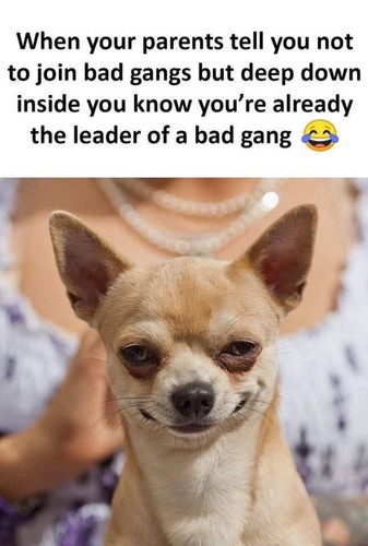 592747418 1288462773319779 5911598167597610045 n.jpg