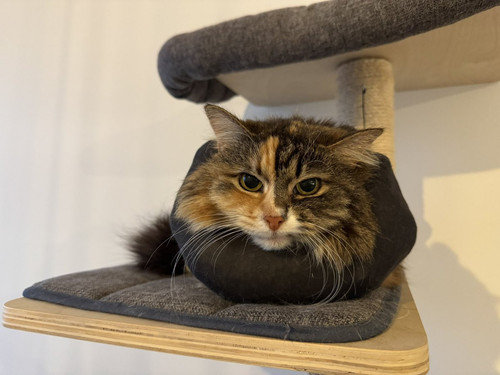 G7FPQ bXoAEKIc1.jpg