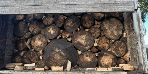 593987238 1307106414782663 827239142042903437 n.jpg?stp=dst jpg s1080x2048 tt6& nc cat=111&ccb=1 7& .jpg