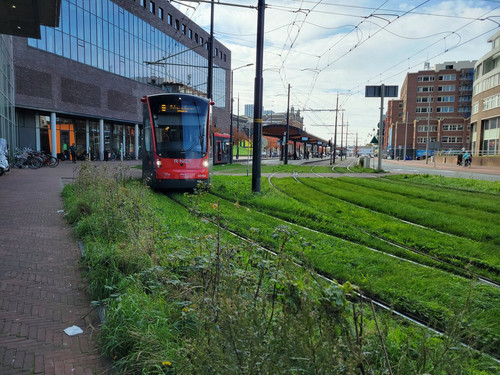 G7NHY MbgAMz2w0?format=jpg.jpg