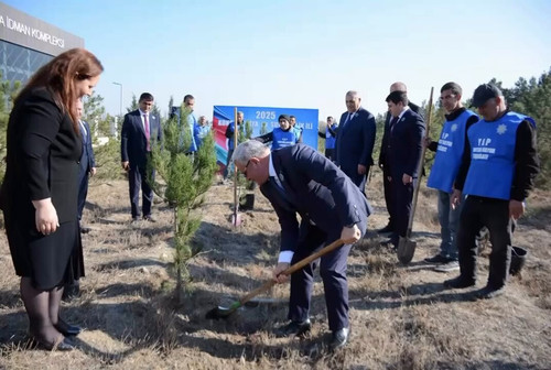 G XhTAgJmKXG917m.jpg