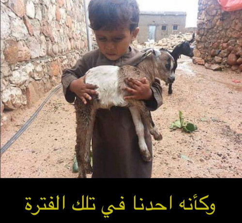 GIYP6DRWIAA ryW?format=jpg.jpg