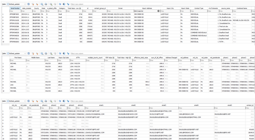 Michael and Lisa Wilcox.png