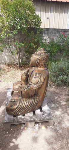 IMG 20250721 WA0004 optimized optimized optimized.jpg