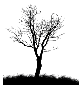 tree.png