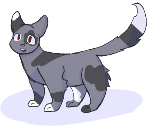 Screenshot 2022 08 16 3.25.53 PM