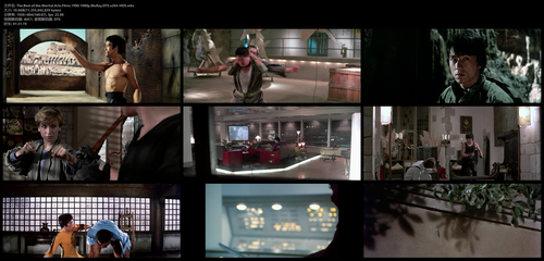 The.Best.of.the.Martial.Arts.Films.1990.1080p.BluRay.DTS.x264 HDS.mkv.png