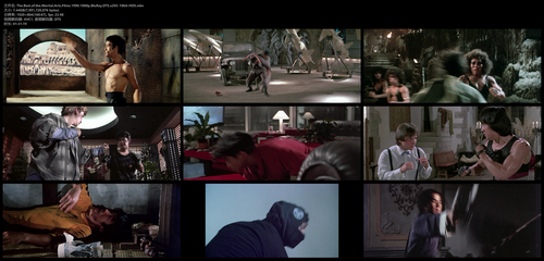 The.Best.of.the.Martial.Arts.Films.1990.1080p.BluRay.DTS.x265 10bit HDS.mkv.png