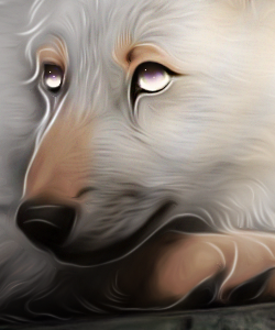 dfba4si 5443632d f758 4b89 bae5 1e29b35d18ec.png