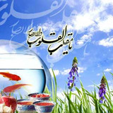 15681 hou2222