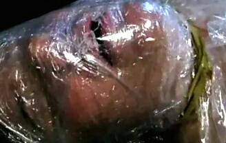 IMG 20220521 074016.jpg