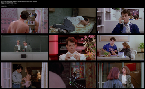 Big.1988.Extended.Cut.BluRay.REMUX.1080p.AVC.DTS HD.MA5.1 HDS.mkv.png