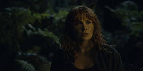 Jurassic.World.Dominion.2022.2160p.HDR.UHD.BluRay.DTS X.7.1.x265 10bit HDS.mkv 20220820 083228.043.png