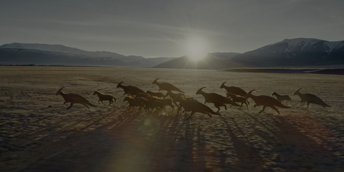 Jurassic.World.Dominion.2022.2160p.HDR.UHD.BluRay.DTS X.7.1.x265 10bit HDS.mkv 20220820 083247.092.png