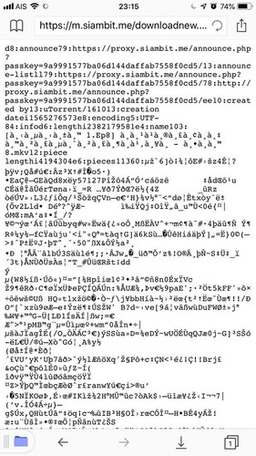 68651628 2964960703531029 241968643456368640 n.jpg
