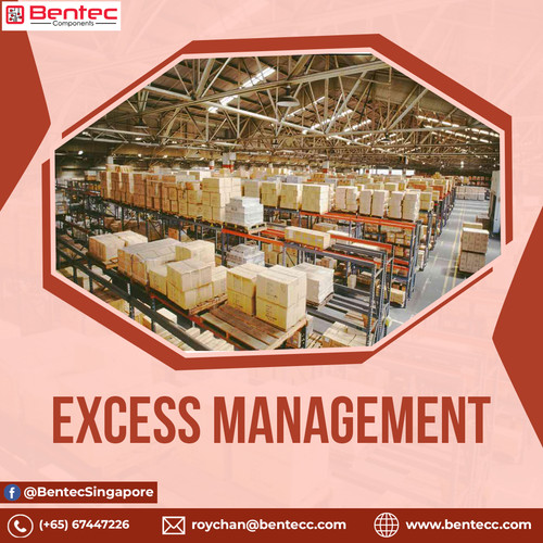 Excess Management.jpg