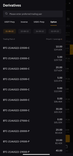 Options Bybit App.jpg