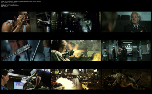 The.Incredible.Hulk.2008.BluRay.REMUX.1080p.AVC.TrueHD7.1.Atmos HDS.mkv.png